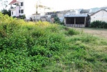 Thêm dự án Housing Group 'chết yểu'